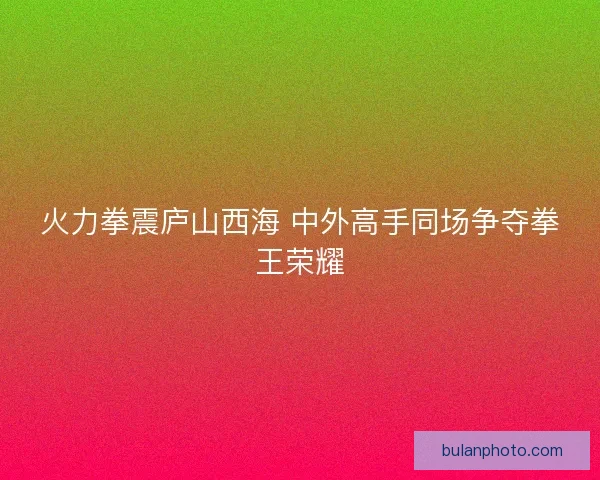 火力拳震庐山西海 中外高手同场争夺拳王荣耀